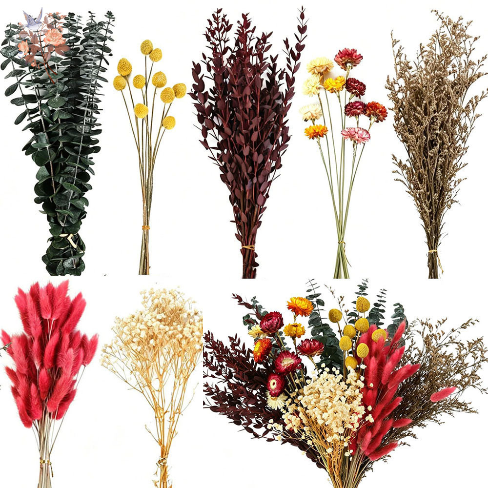 The Florist Supply - Dried Flowers Bulk Set 7 Kinds