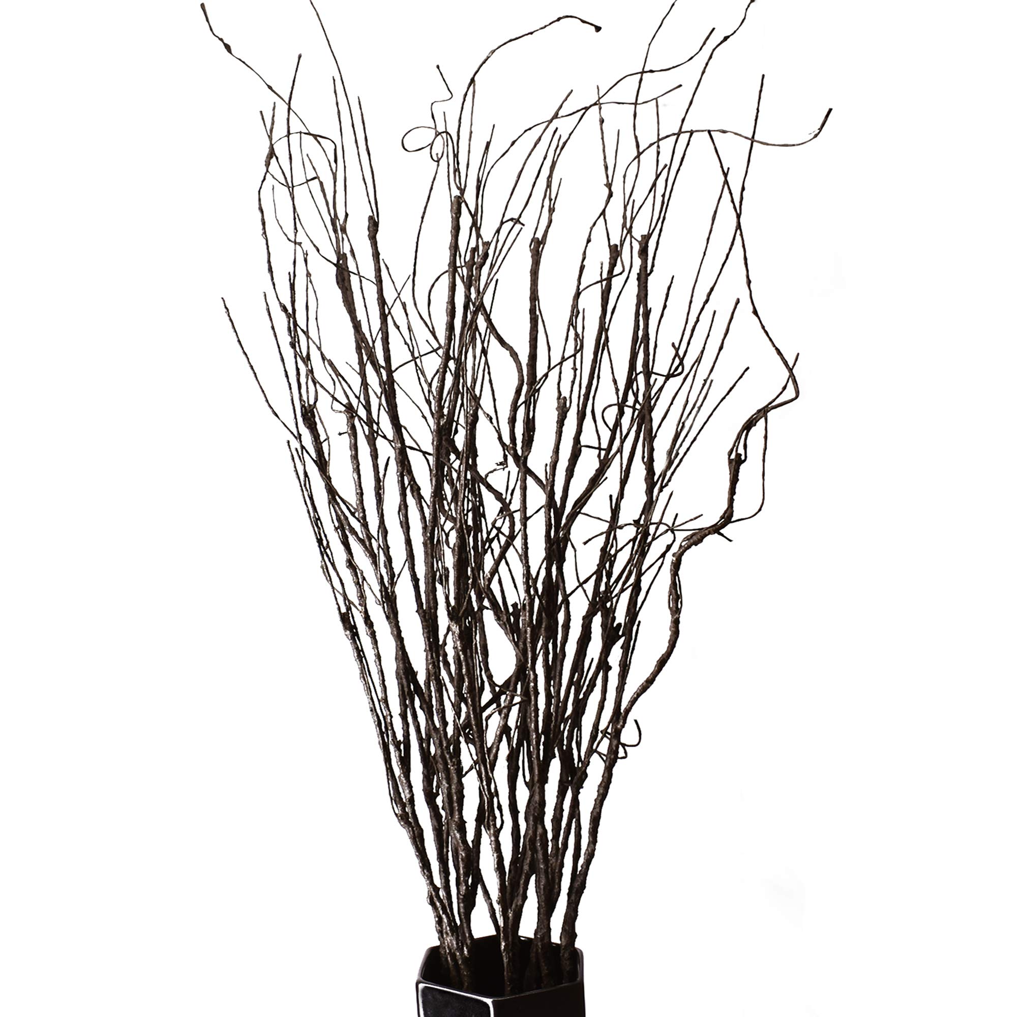 FeiLix 10PCS Dried Artificial  - Branch Curly Willow 评论和价格