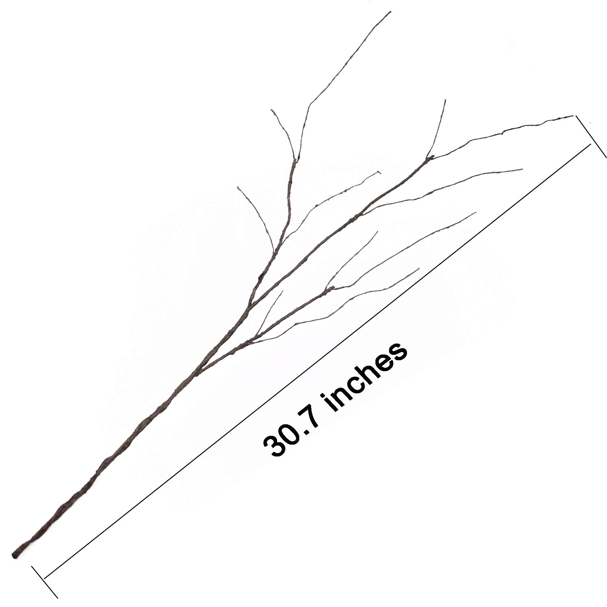 FeiLix 10PCS Dried Artificial  - Branch Curly Willow 评论和价格