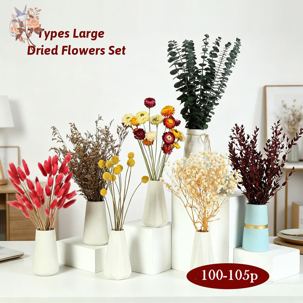 Dried Flowers Bulk Set 7 Kinds - The Florist Supply 评论和价格