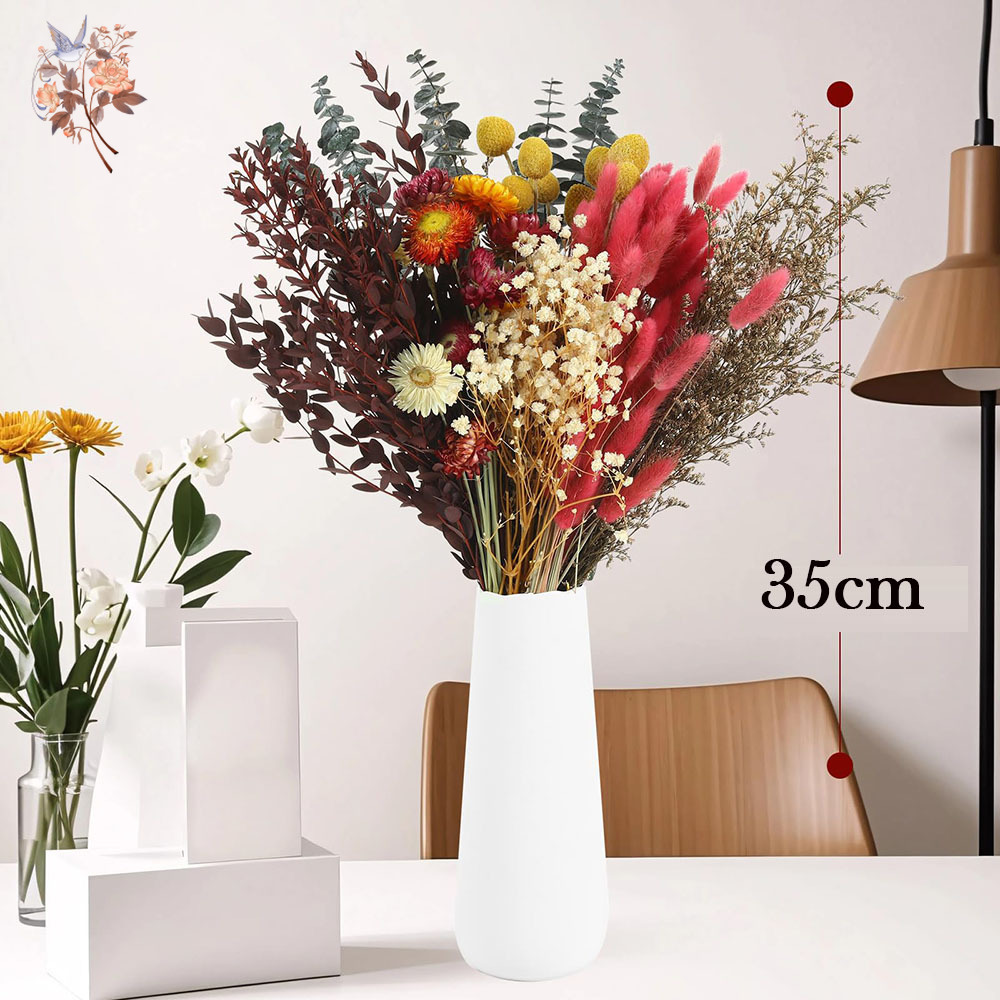 Dried Flowers Bulk Set 7 Kinds - The Florist Supply 评论和价格