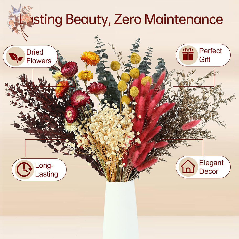 Dried Flowers Bulk Set 7 Kinds - The Florist Supply 评论和价格